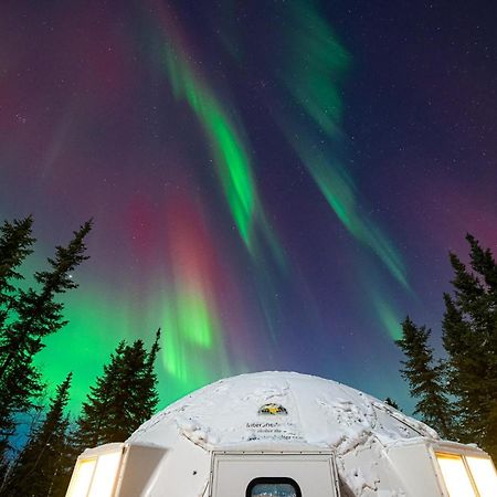 Pleasant Acres Reindeer Ranch Villa Pleasant Valley Esterno foto