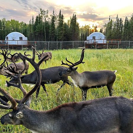 Pleasant Acres Reindeer Ranch Villa Pleasant Valley Esterno foto