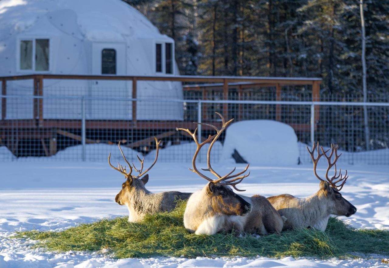 Pleasant Acres Reindeer Ranch Villa Pleasant Valley Esterno foto